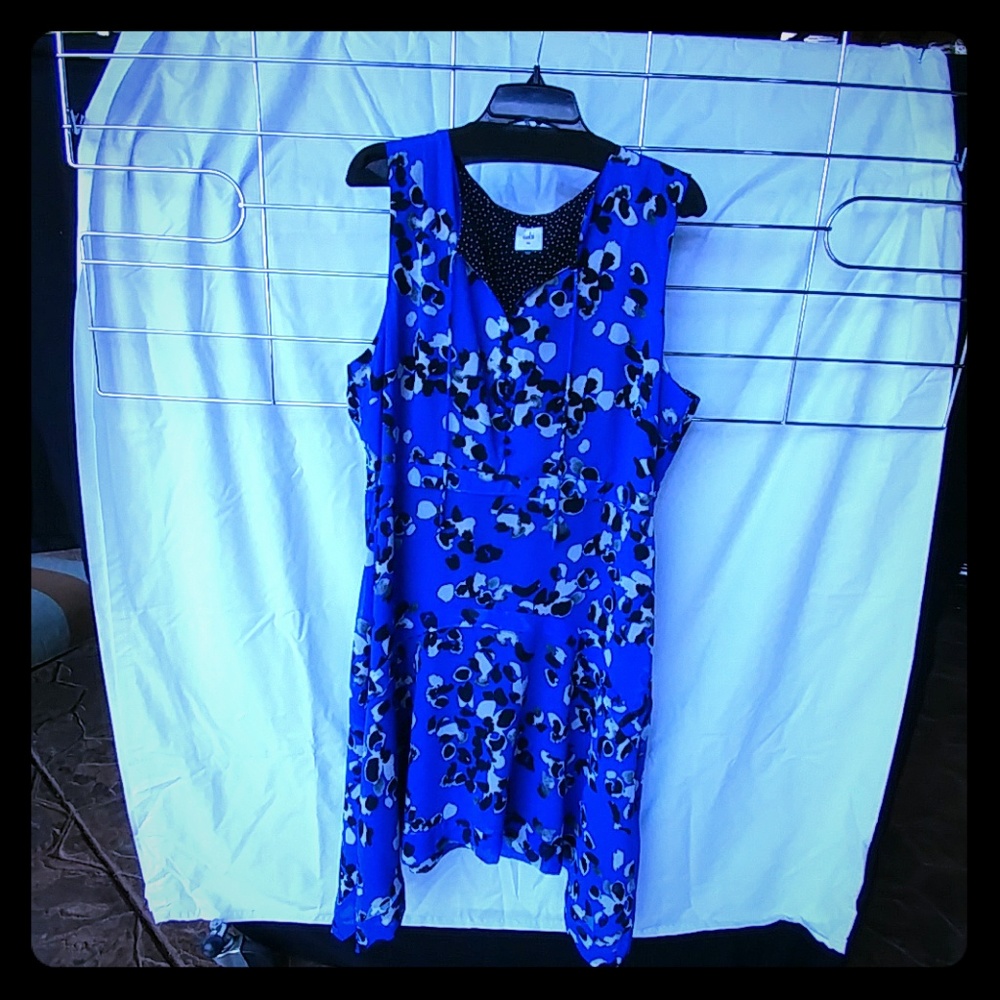 Cabi untamed dress